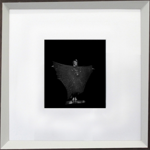 <p>Alexandra Hopf</p><p><br />The Anonymous Circle 4, 2010<br />Black and white photography, framed</p><p>41 x 41 cm</p>