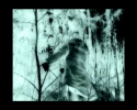 Annabelle Craven-Jones: SOMEWHERE THERE IS SOMEONE THINKING IN A WOOD (GREY NOISE INVERSE)