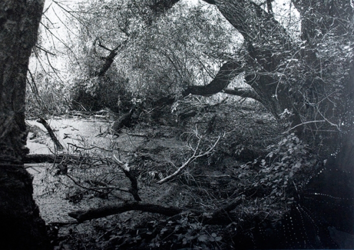 <p>Cornelia Brintzinger</p><p>&nbsp;</p><p>Der Weiher, 2009</p><p>Screenprint, pigment, varnish on wood</p><p>134 x 167 cm</p>