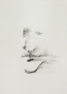 <p>Gegenüber dem Anfangszustand einen höheren<br />Zustand erreicht</p><p> </p><p>2016<br />charcoal on paper<br />42 x 29,7 cm</p>