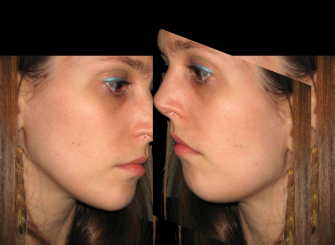 <p>Annabelle Craven-Jones</p><p><br />A deconstruction of expression she said ( ), 2009<br />Single channel digital loop, silent</p><p>1:10 min</p>