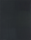 <p>Monochrom schwarz (Draussen vor der Tür)<br /><br />2008<br />Oil on canvas<br />185 x 150 x 2 cm</p>