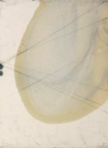 <p>Frauke Boggasch<br />Untitled (Befund)<br /><br />2009<br />Oil and graphite on canvas<br />40 x 30 cm</p>