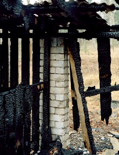 <p>Torbjørn Rødland</p><p><br />White Column, 2008<br /><span>Fuji Crystal archive paper on aluminium, framed</span><br />57 x 45 cm</p>