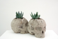 <p>Follow me</p><p> </p><p>2014<br />sandstone, cactus<br />22 x 34 x 19 cm</p>