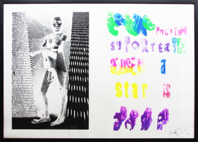 <p>Cosmopolitan Supporter of the Abused A Star is born</p><p> </p><p>2009<br />Silkscreen and acrylic on linen<br />73 x 103 x 3 cm</p>